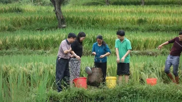 富硒大米什么时候开始吃