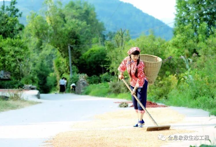 富硒大米什么时候开始吃