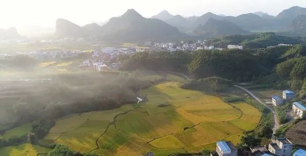 广西富硒大米在哪里销售