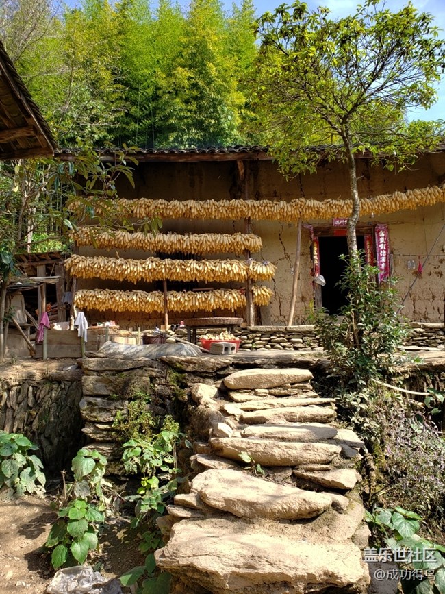 长寿乡富硒大米种植基地