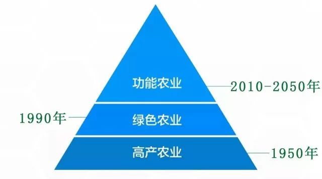 南京富硒大米产地的战略