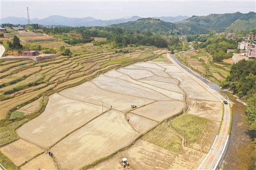 湖南新田富硒大米怎么样