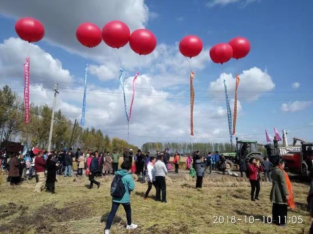 宋家岗子村富硒大米熟了