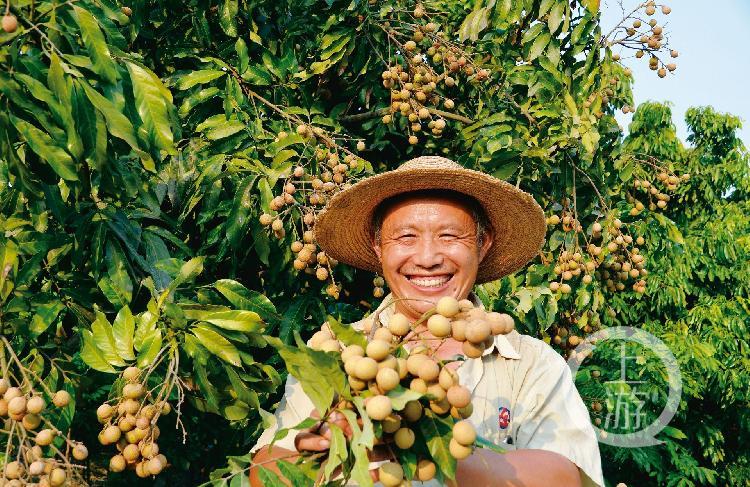 江津种植的富硒大米价格