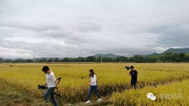 富硒鸭稻有机大米哪个好