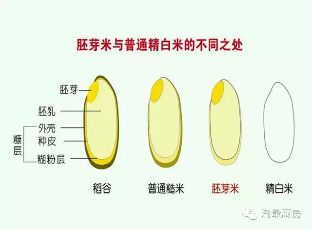 富硒鸭稻有机大米哪个好