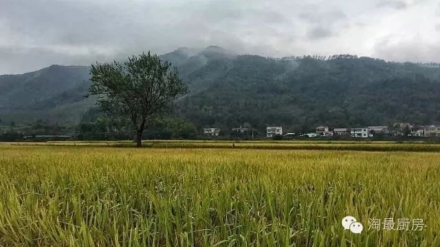 富硒鸭稻有机大米哪个好