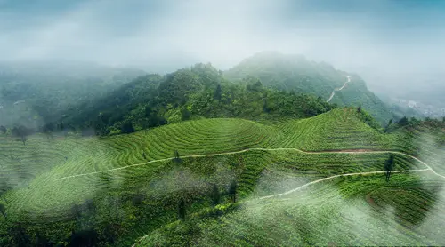 利川南坪一里香富硒大米