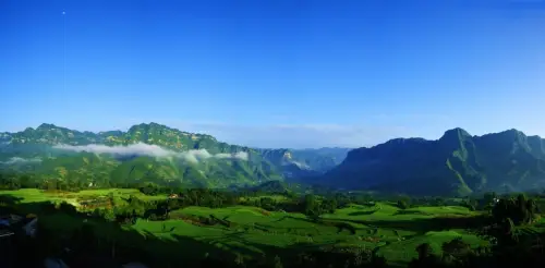 利川南坪一里香富硒大米