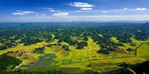 利川南坪一里香富硒大米