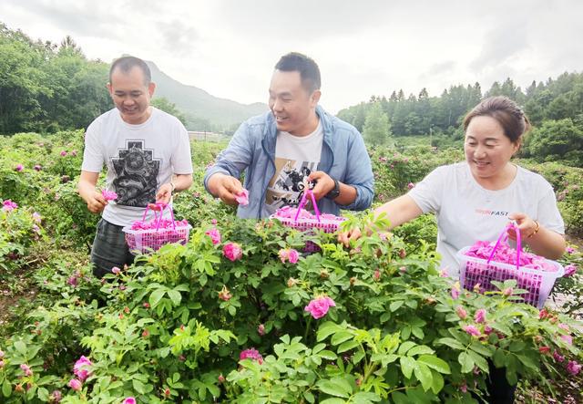 吉林省柳河县大米富硒米