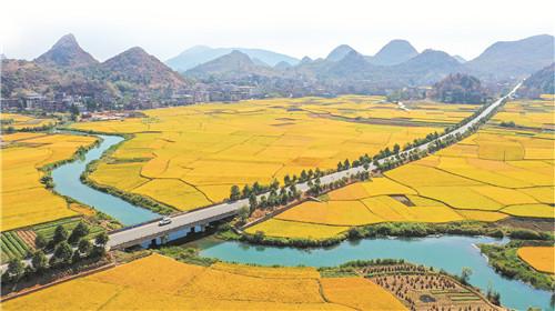 新田富硒大米多少钱一斤