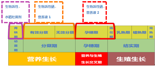 黑龙江富硒大米每亩产量