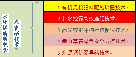 黑龙江富硒大米每亩产量