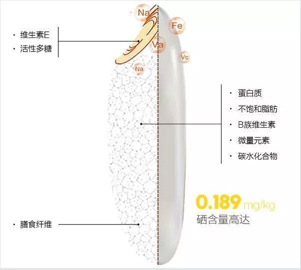 大山第一村富硒大米价格