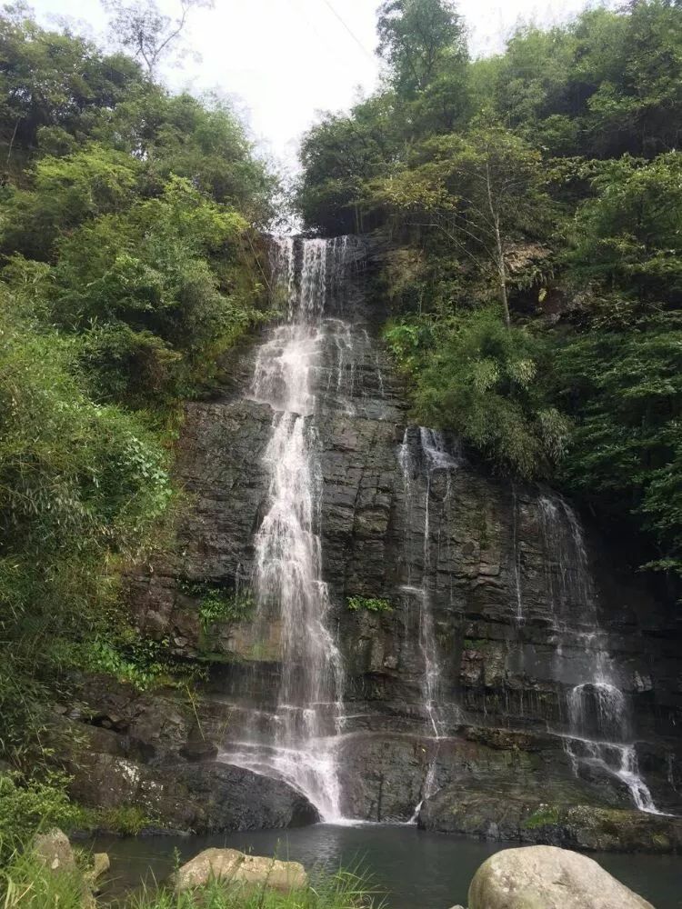 大山第一村富硒大米价格