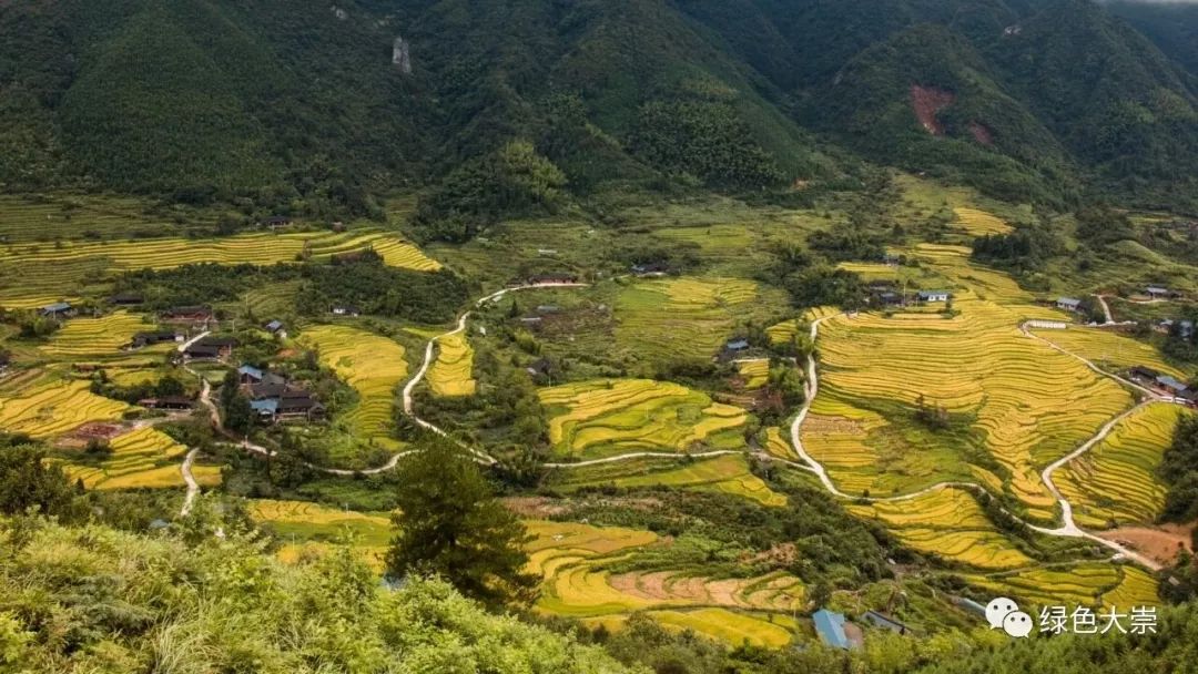 大山第一村富硒大米价格