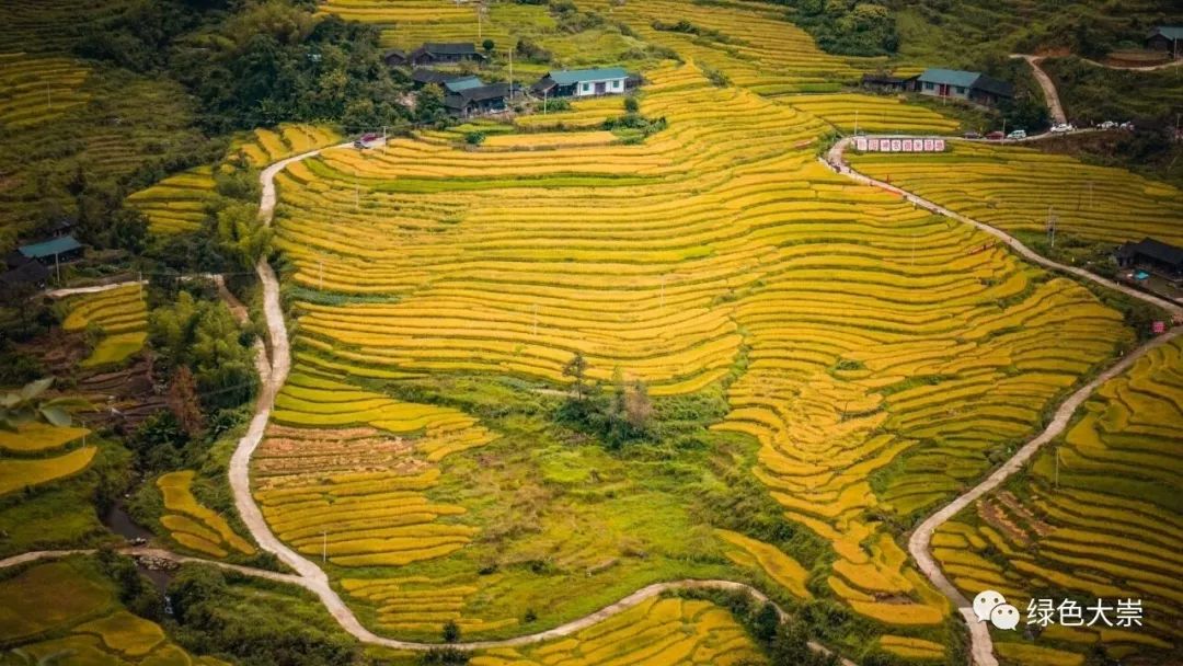 大山第一村富硒大米价格