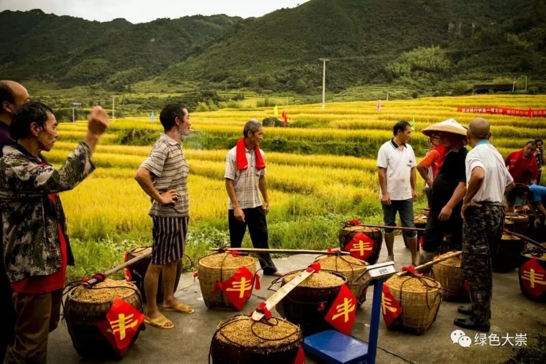 大山第一村富硒大米价格