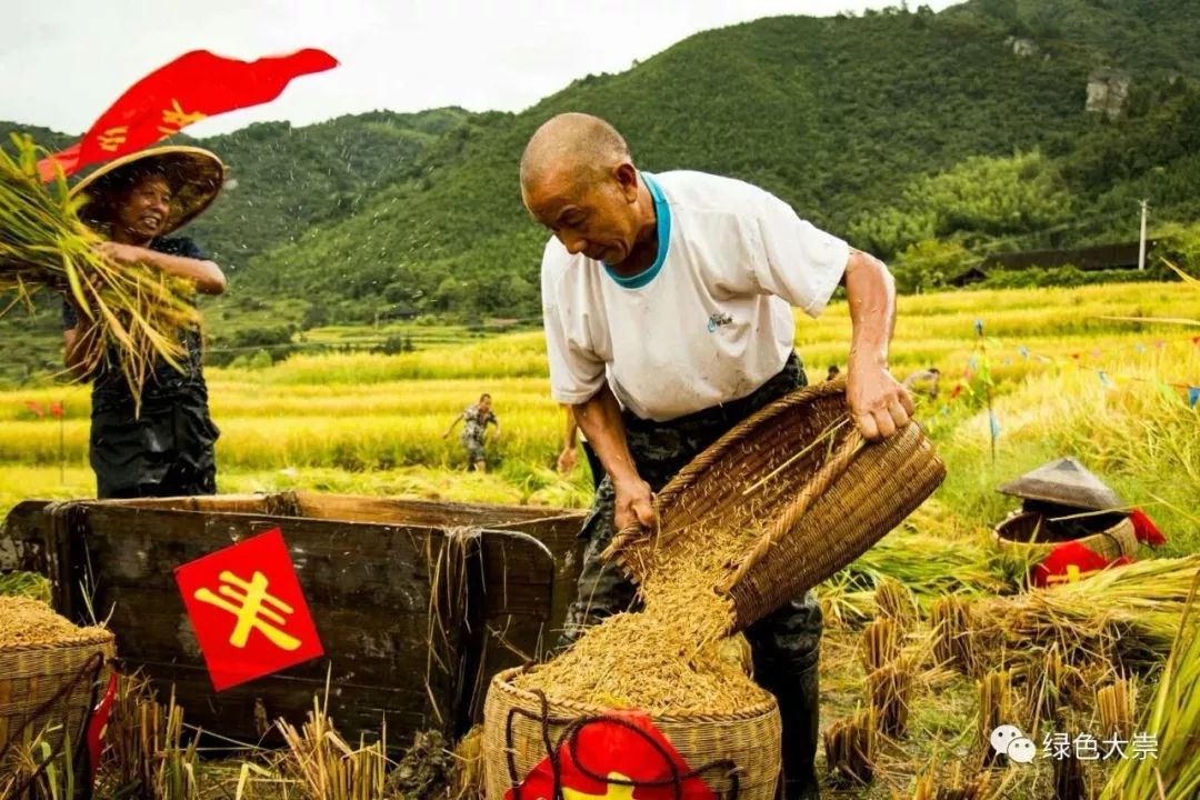 大山第一村富硒大米价格