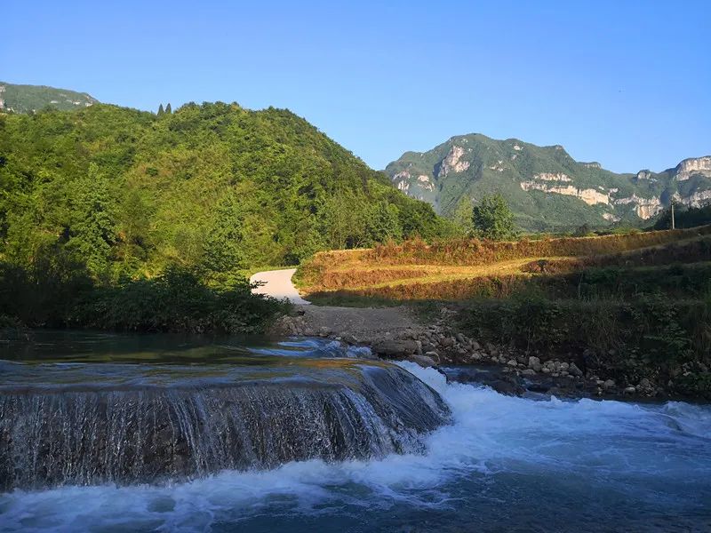 大山第一村富硒大米价格