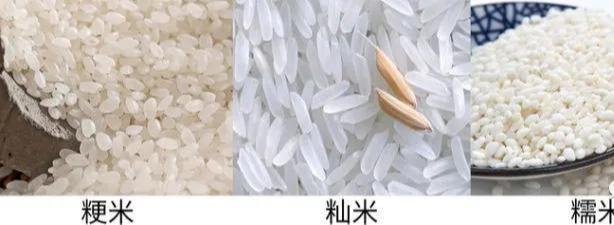 富硒大米碳水化合物高吗