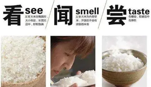 富硒大米碳水化合物高吗