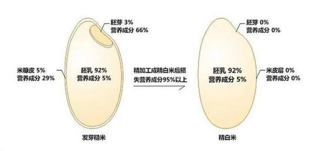 富硒大米碳水化合物高吗