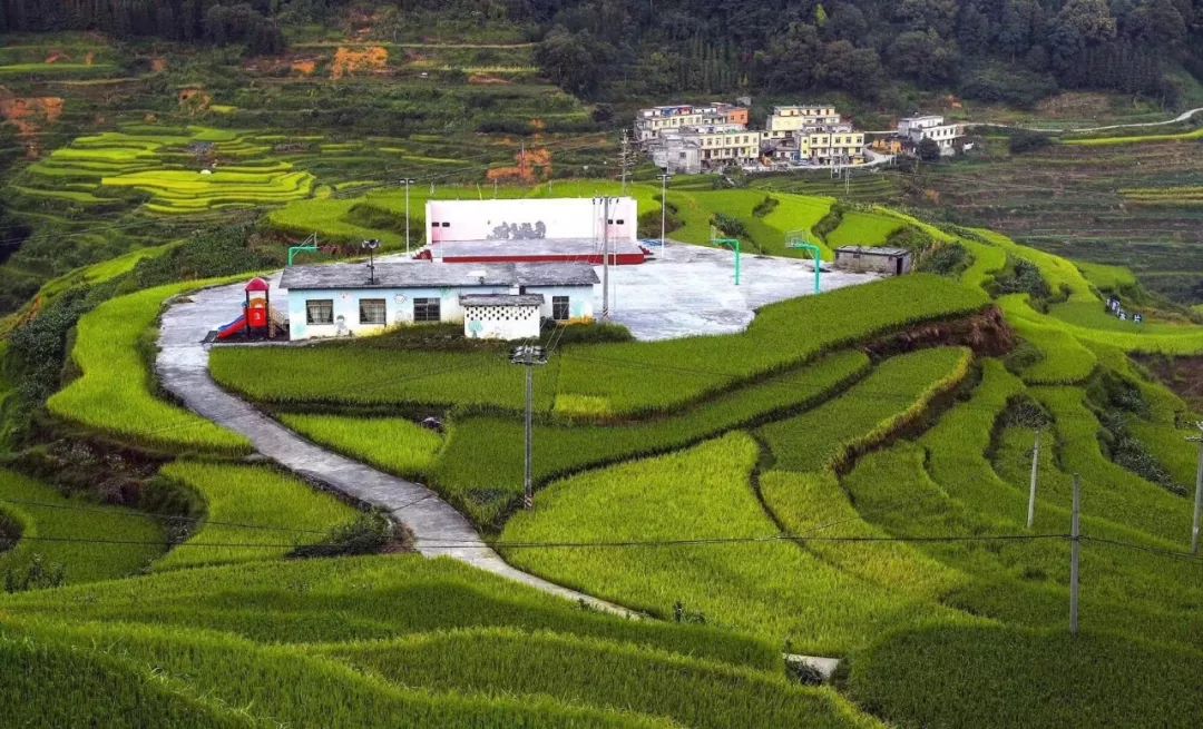 陆川县富硒大米哪可以买