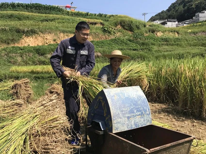 陆川县富硒大米哪可以买