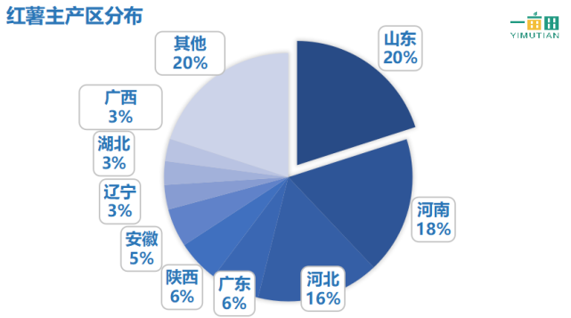 煮富硒地瓜多久熟透能吃