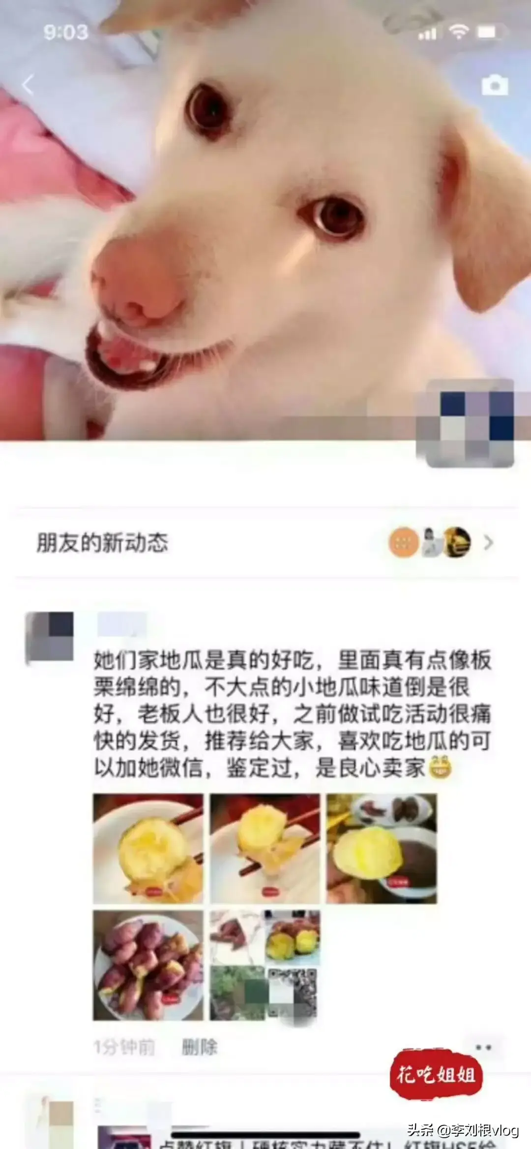 富硒板栗地瓜有什么作用