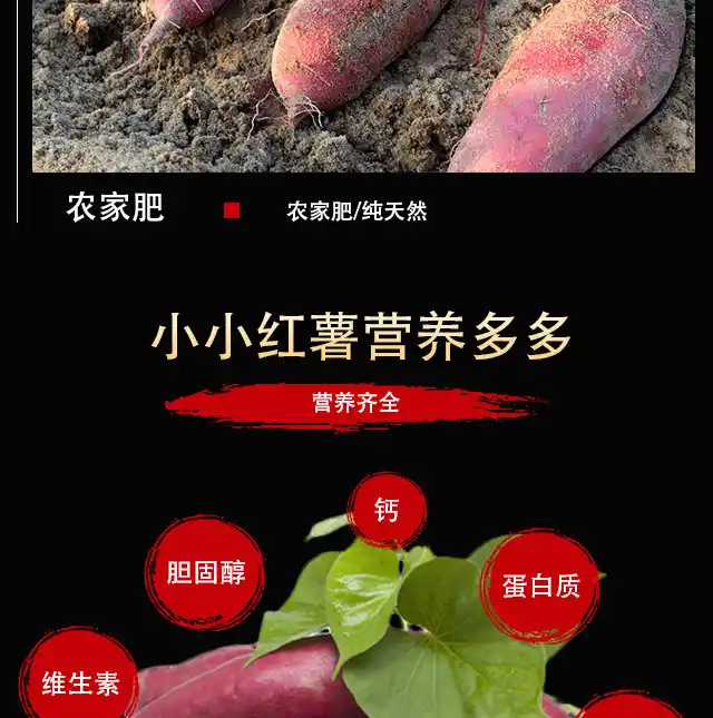 富硒地瓜烤着吃能减肥吗