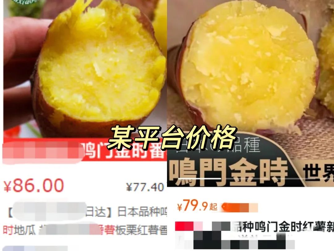 烤出油的富硒地瓜叫什么