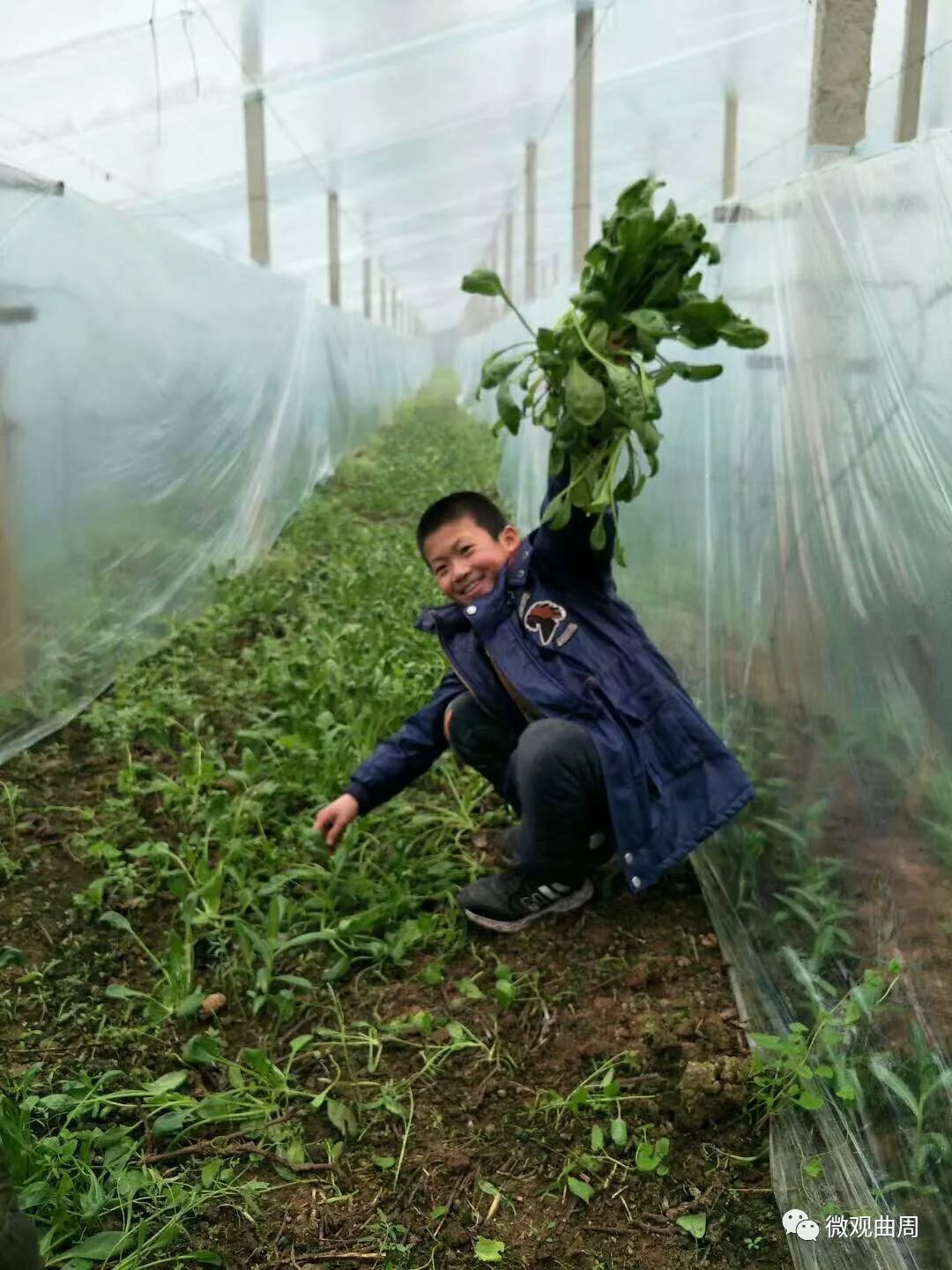 吃富硒面粉的功效与禁忌