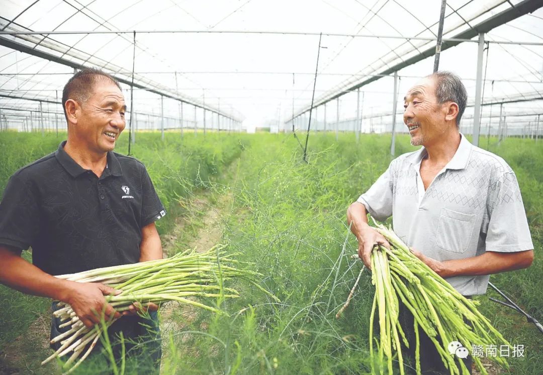 富硒蔬菜生产基地在哪里