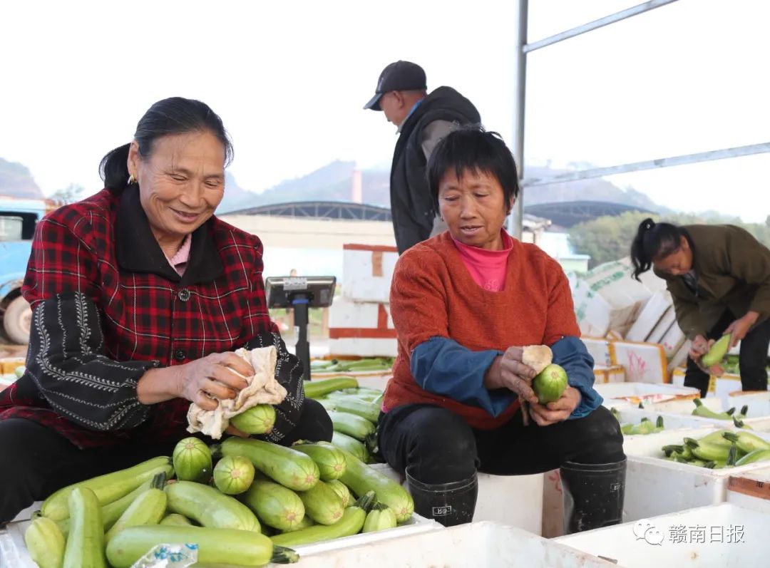 富硒蔬菜生产基地在哪里