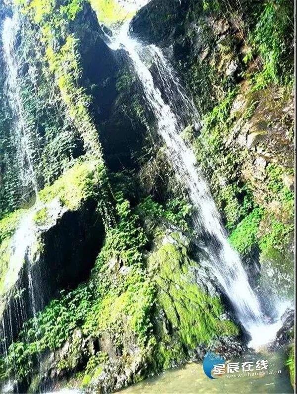 大山深处的富硒水果蔬菜