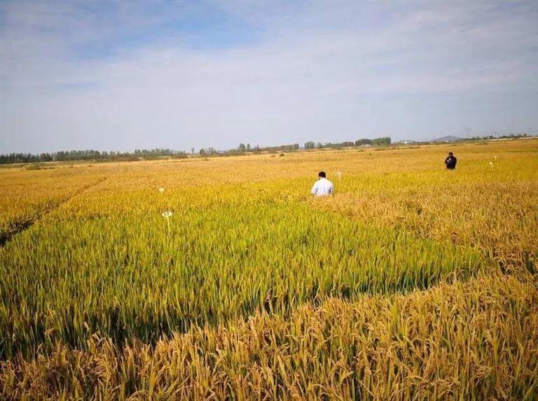 湖州富硒蔬菜基地在哪里