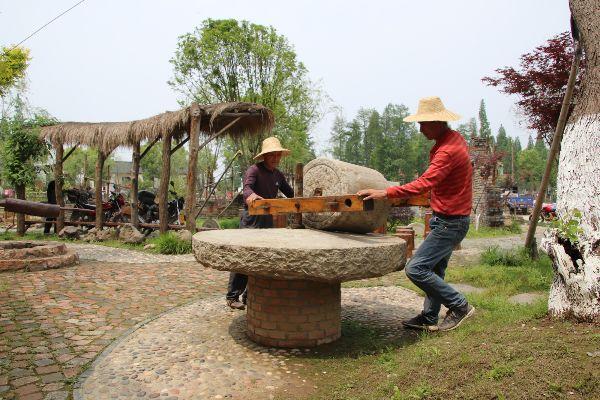 湖州富硒蔬菜基地在哪里