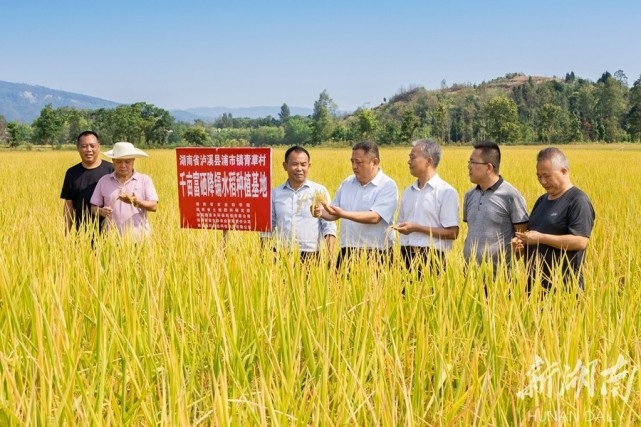 于都县富硒蔬菜种植观摩