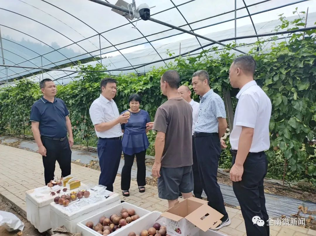 嘉禾县富硒蔬菜基地招标