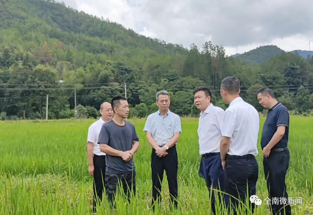 嘉禾县富硒蔬菜基地招标