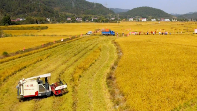 万安县富硒蔬菜基地地址