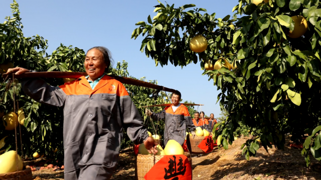 万安县富硒蔬菜基地地址