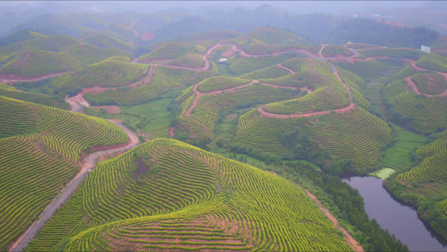 万安县富硒蔬菜基地地址