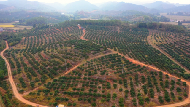 万安县富硒蔬菜基地地址