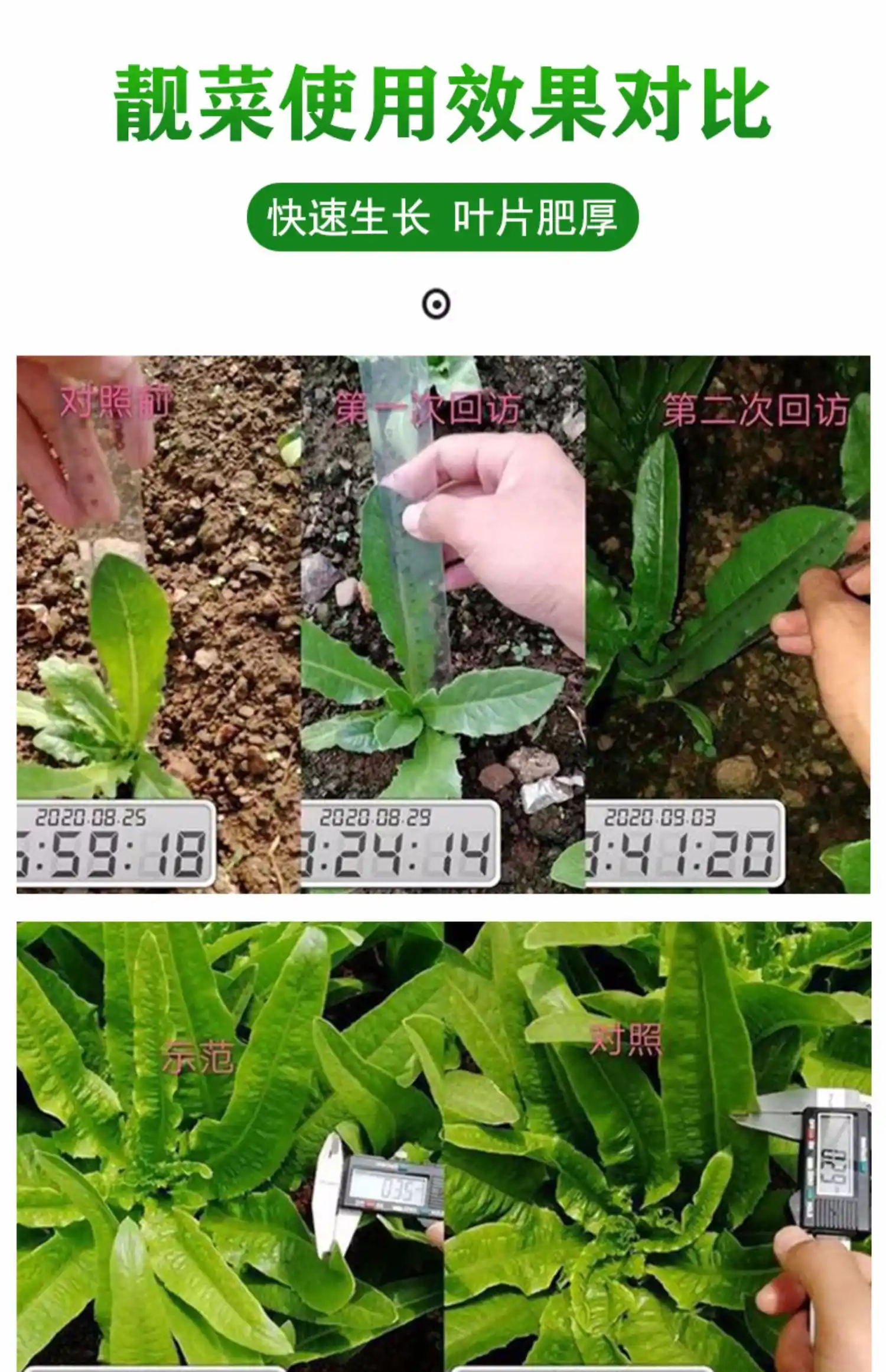 蔬菜富硒叶面肥使用方法