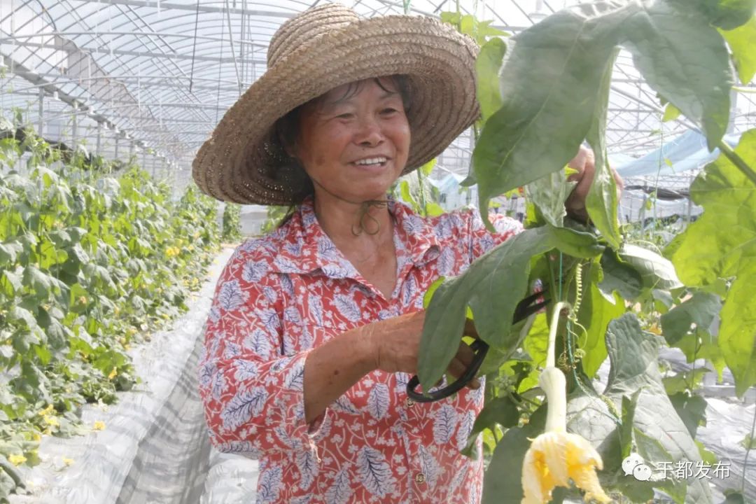 富硒蔬菜市场前景怎么样