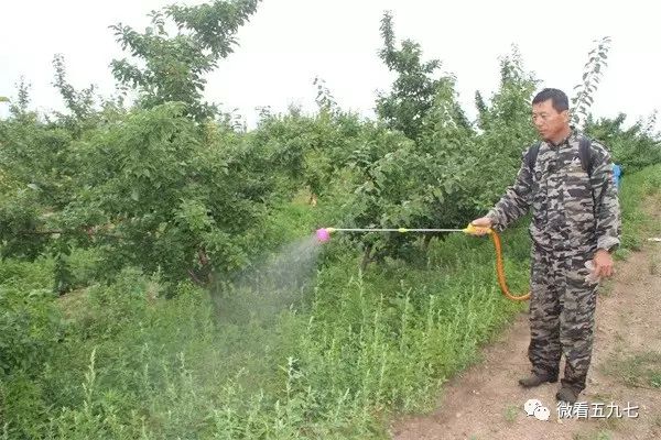 水果增加富硒元素的肥料